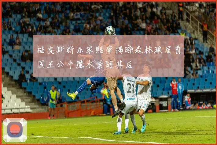 福克斯新东家赔率揭晓森林狼居首国王公牛魔术紧随其后
